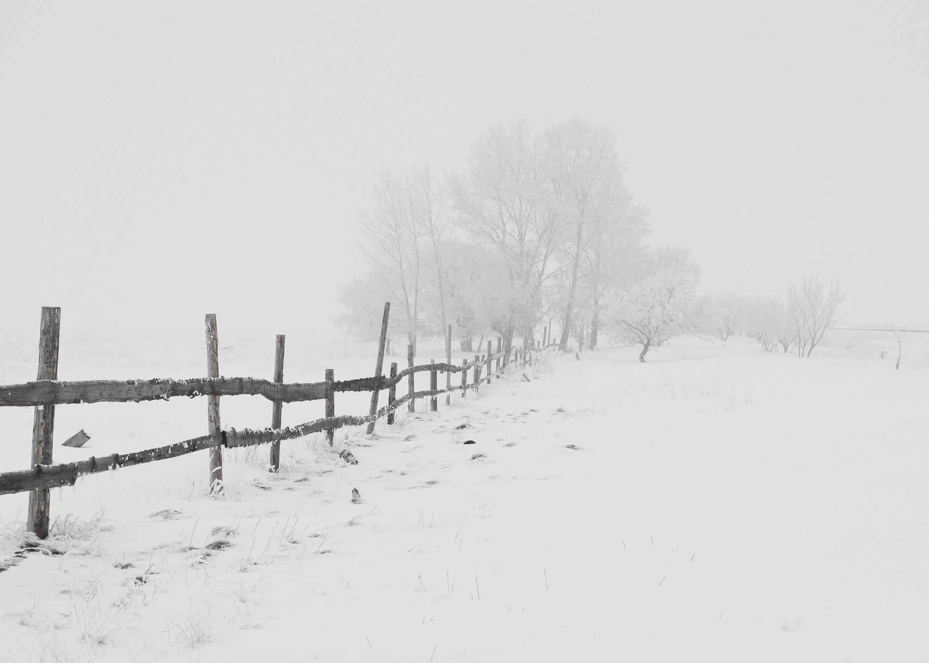 Black Wooden Fence on Snow Field at a Distance of Black Bare Trees